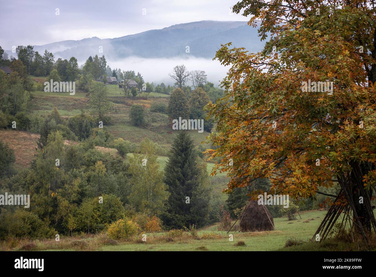 hermoso paisaje montañoso de los cárpatos. Cárpatos ucranianos Foto de stock