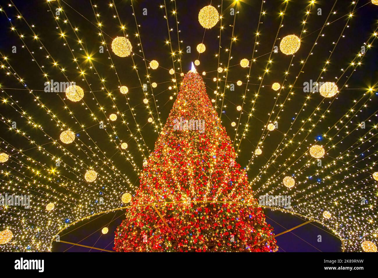 Las brillantes luces del Árbol de Navidad en la Plaza de Santa Sofía, Kiev, Ucrania Foto de stock