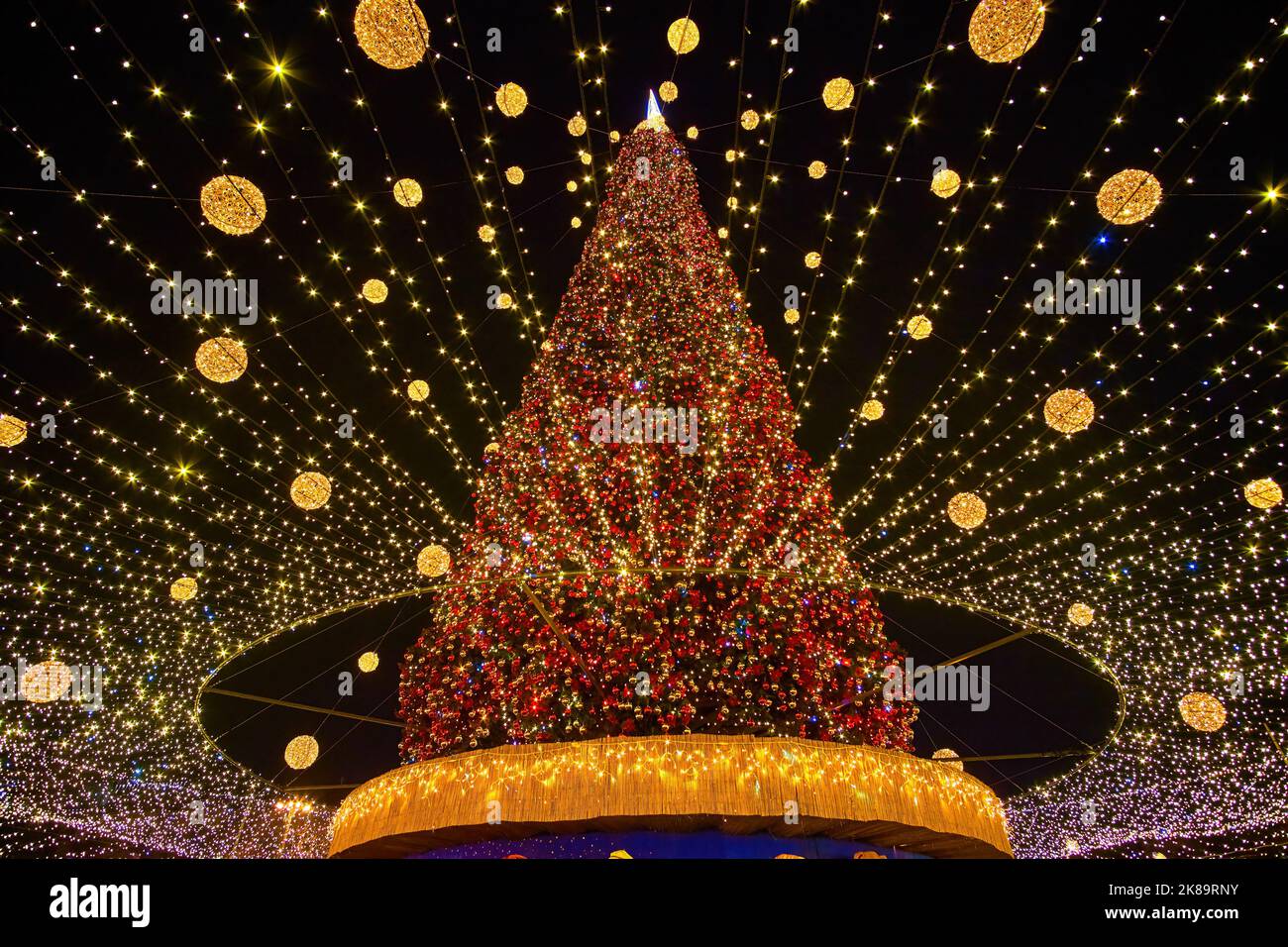 La Plaza de Santa Sofía está ricamente decorada para la celebración de Navidad con las luces brillantes y las guirnaldas de colores en el Árbol de Navidad, Kiev, Ucrania Foto de stock