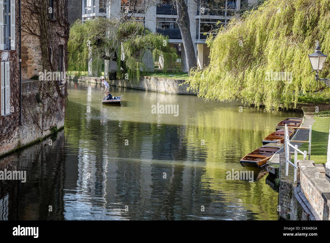 Apostando en el río Cam en Cambridge Foto de stock