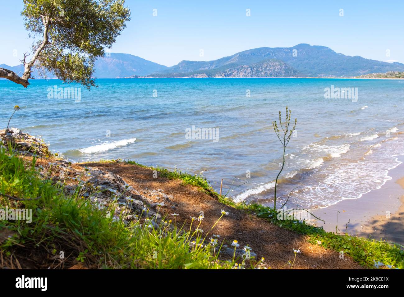 Istuzu playa cerca de la localidad turca de Dalyan. Larga playa de arena y lugar de anidación para tortugas Foto de stock