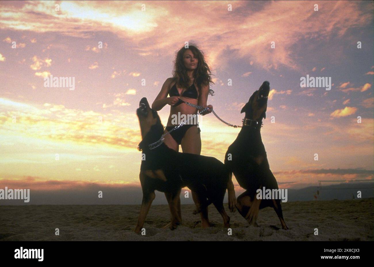 Elizabeth Hurley Film Bedazzled (USA/DE 2000) Personajes The Devil