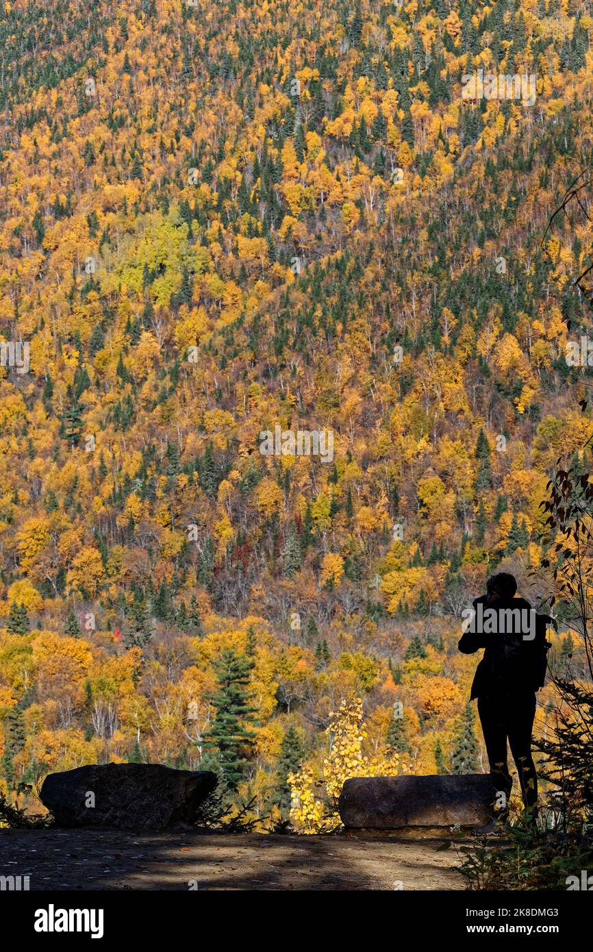 Parque nacional de las hautes de la malbaie fotografías e