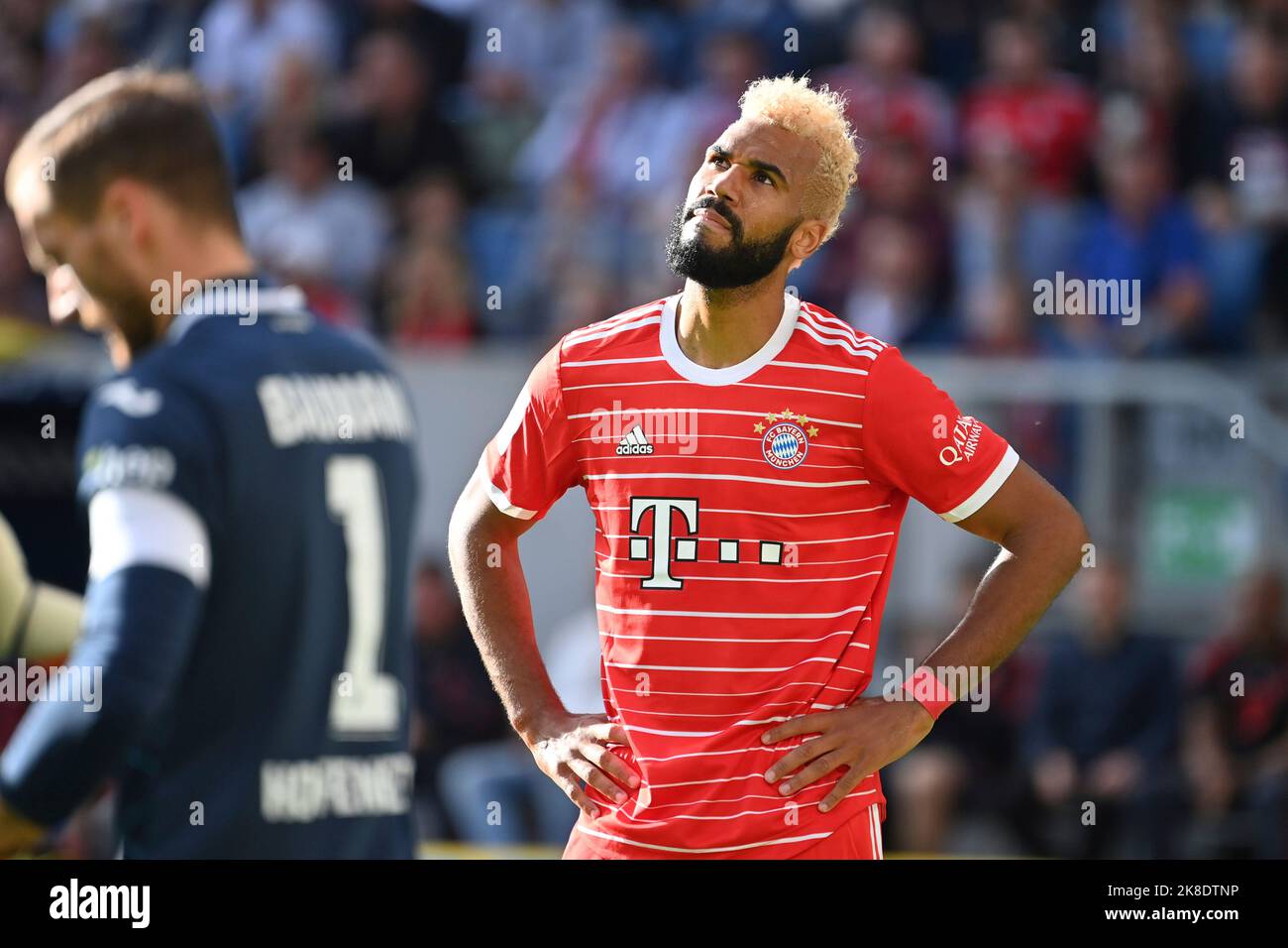 Eric Maxim Choupo-moting (FC Bayern Munich), acción, imagen única, motivo  recortado único, media figura, Media FIGURA FÚTBOL 1st Bundesliga temporada  2022/2023, 11th matchday, matchday11, TSG 1899 Hoffenheim - FC Bayern  Munich 0-2