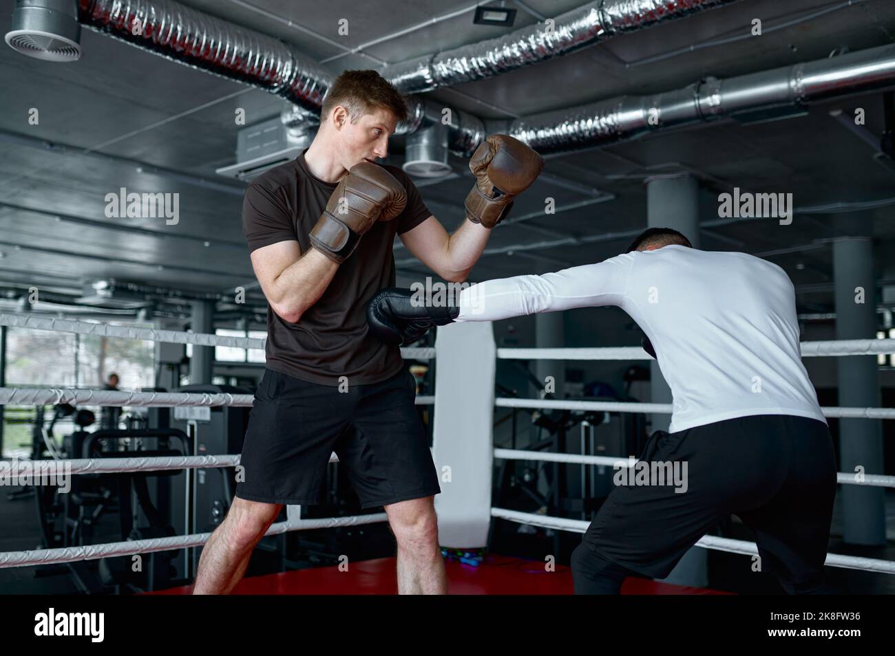 Dos compañeros sparring en guantes de boxeo practican patadas Foto de stock