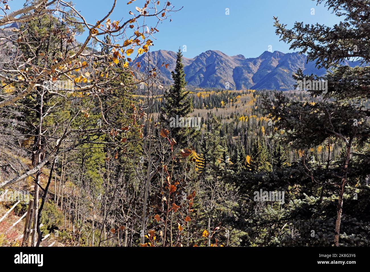 Los colores otoñales de las Montañas San Juan, parte de las Montañas Rocosas, en el suroeste de Colorado, en octubre de 2022, vistas desde la autopista US 550. Foto de stock