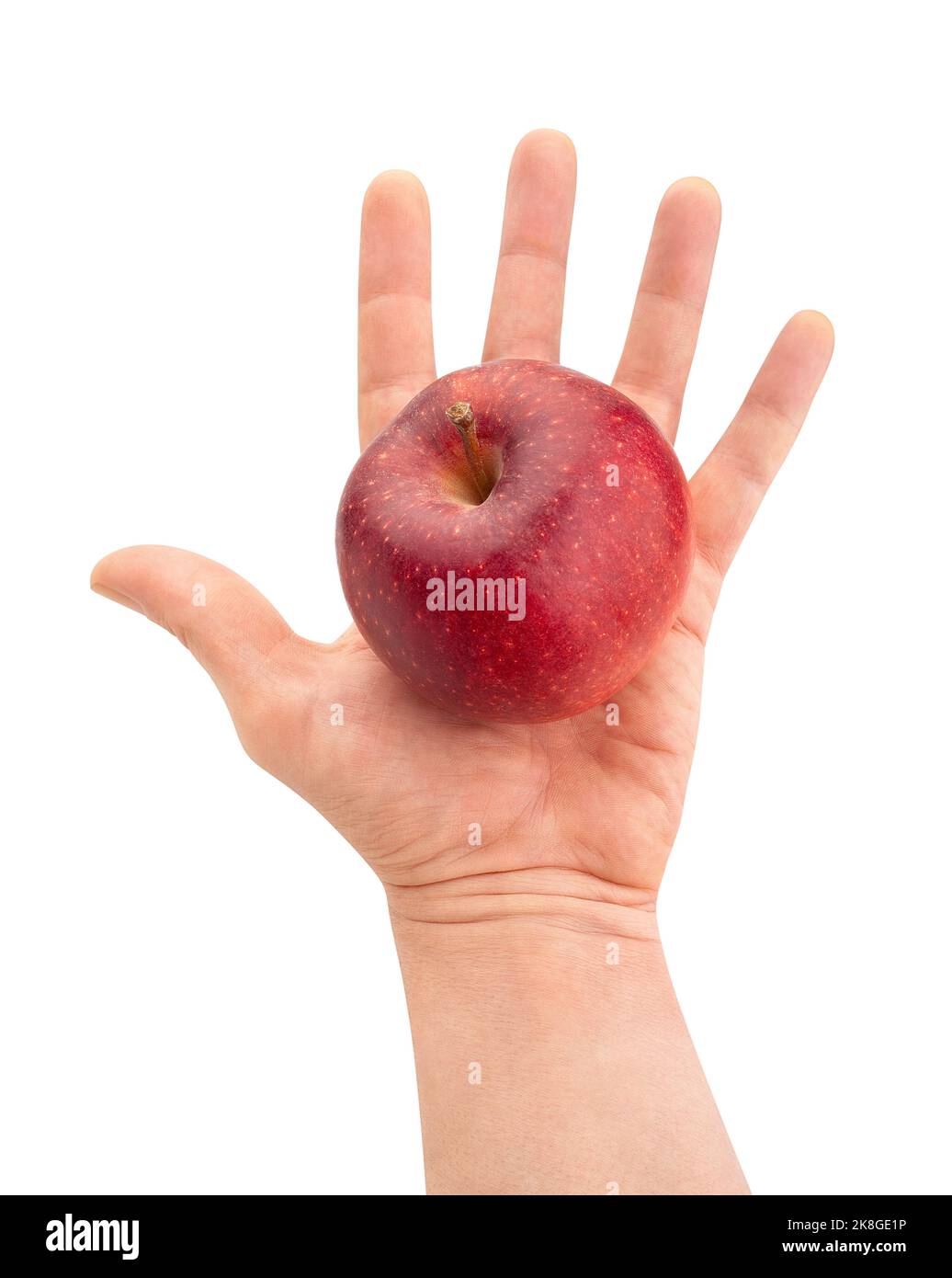 manzana roja en camino de la palma de la mano aislado en blanco Foto de stock