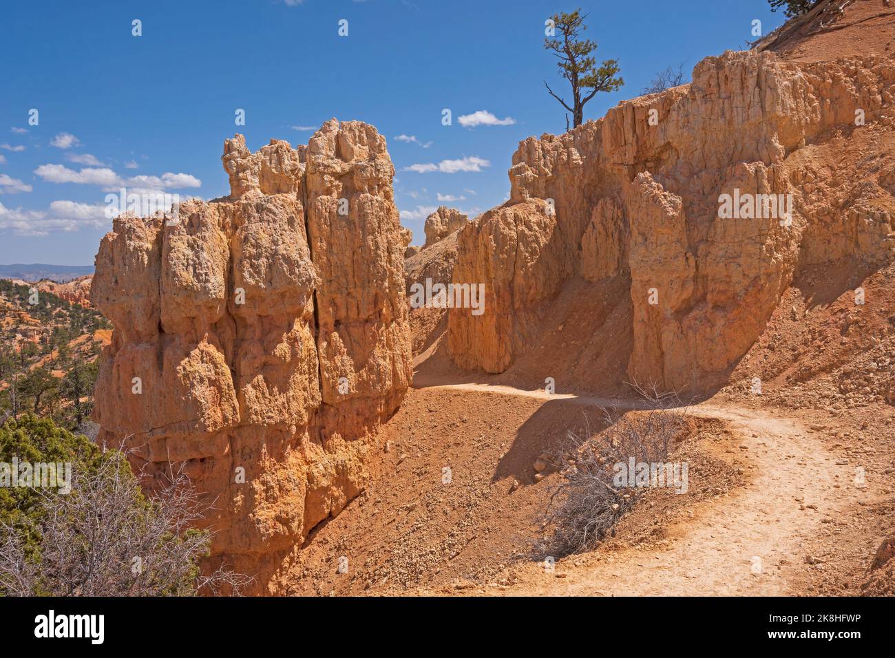 Sendero a través de los Hoodoos en el Parque Nacional del Cañón Bryce en Utah Foto de stock