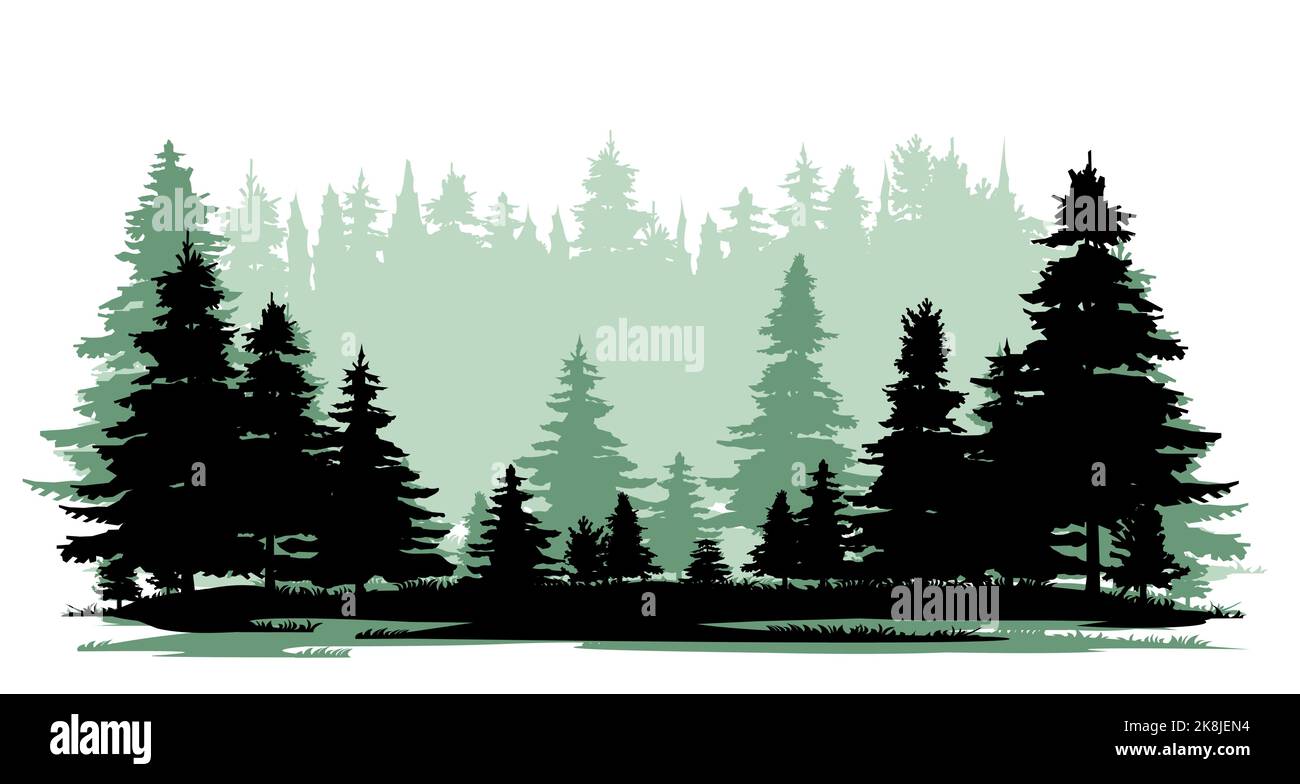 Vista a Taiga. Bosque de coníferas con abetos y pinos. Paisaje con árboles y hierba. Imagen de silueta. Aislado sobre fondo blanco. Vector Ilustración del Vector