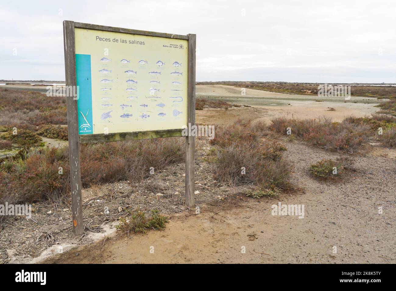 Tabla de información sobre los peces en el Parque Natural Bahía de Cádiz Cádiz con marismas y senderos, Cádiz, Andalucía, España. Foto de stock