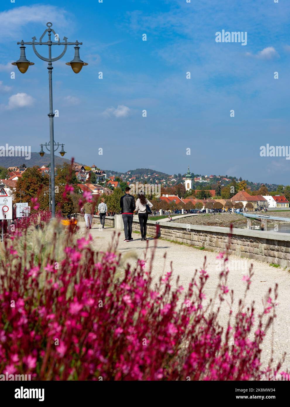 Hermoso lado del río en Szentendre junto al río Danubio con paseo en la acera y rosa Gaura lindheimeri flor Foto de stock