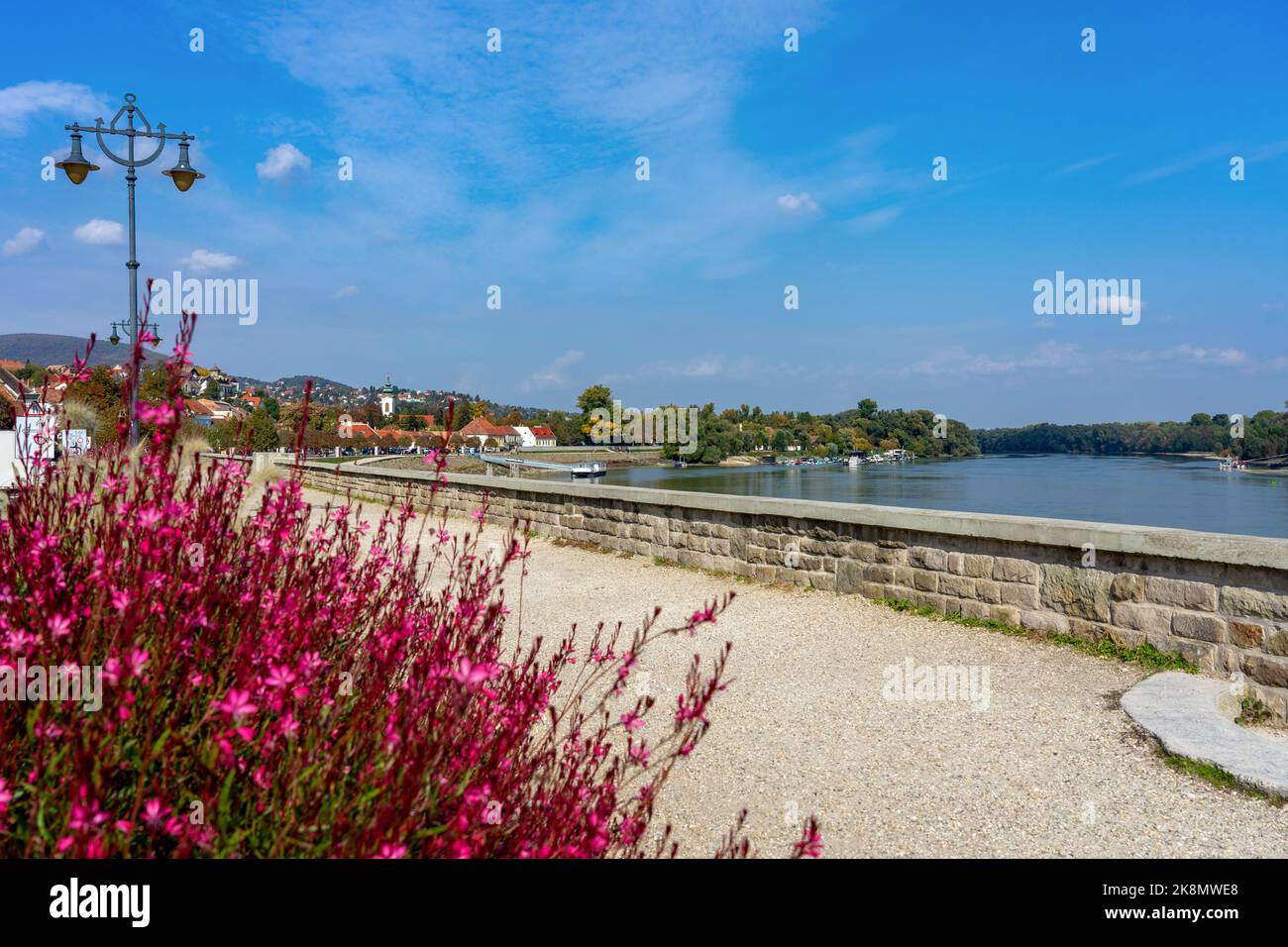 Hermoso lado del río en Szentendre junto al río Danubio con paseo en la acera y rosa Gaura lindheimeri flor Foto de stock