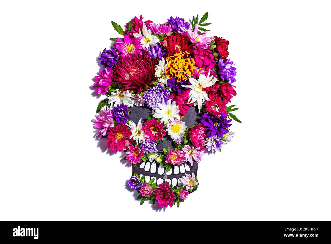 Cráneo humano de papel para el Día de los Muertos de México aislado sobre  blanco. Flores tradicionales coloridas, luz dura moderna, sombra oscura.  Piedra negra de hormigón ba Fotografía de stock -