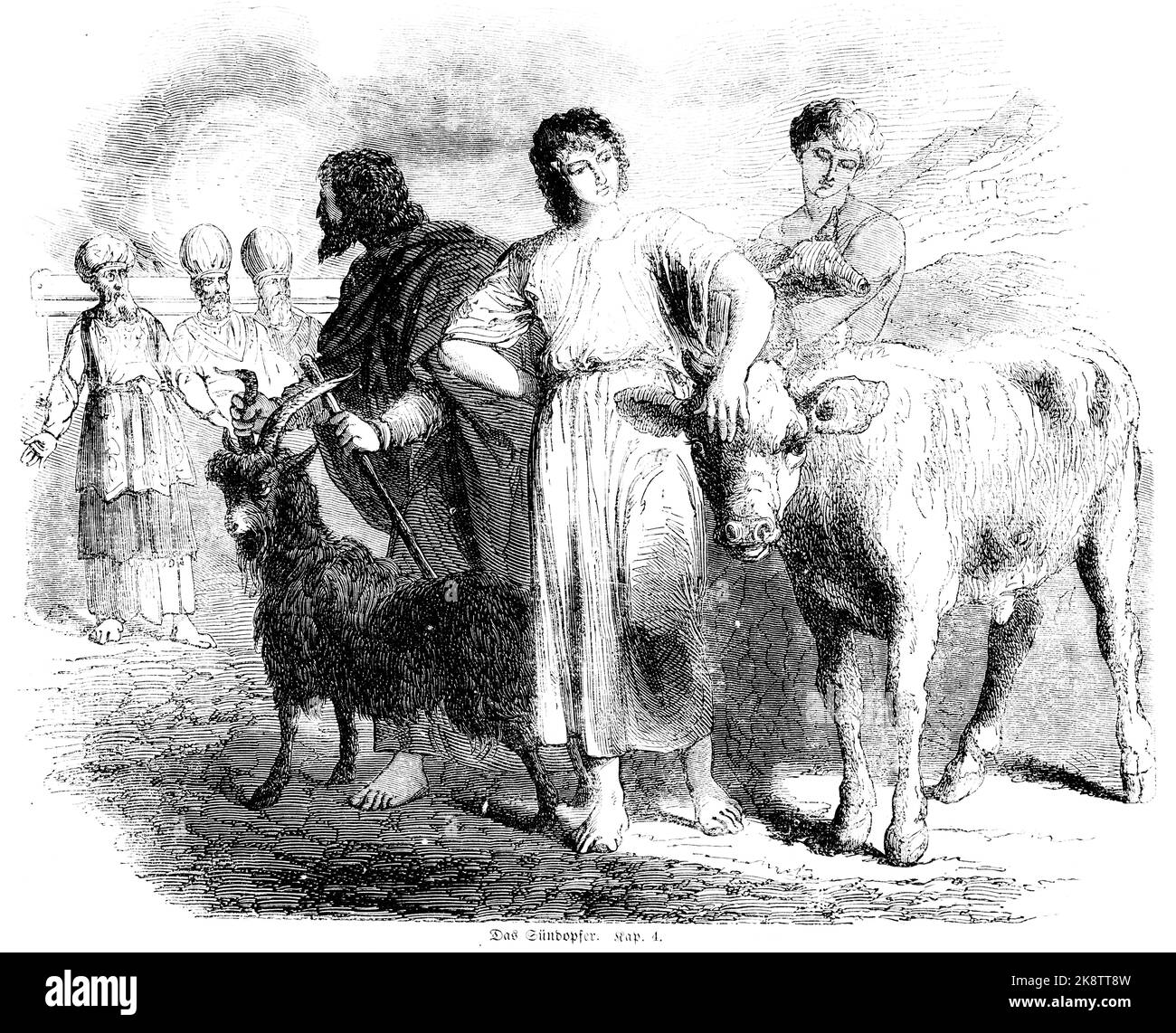 Sacrificio de Animales, Tercer Libro de Moisés Capítulo 4, biblia, ilustración histórica 1850, Foto de stock
