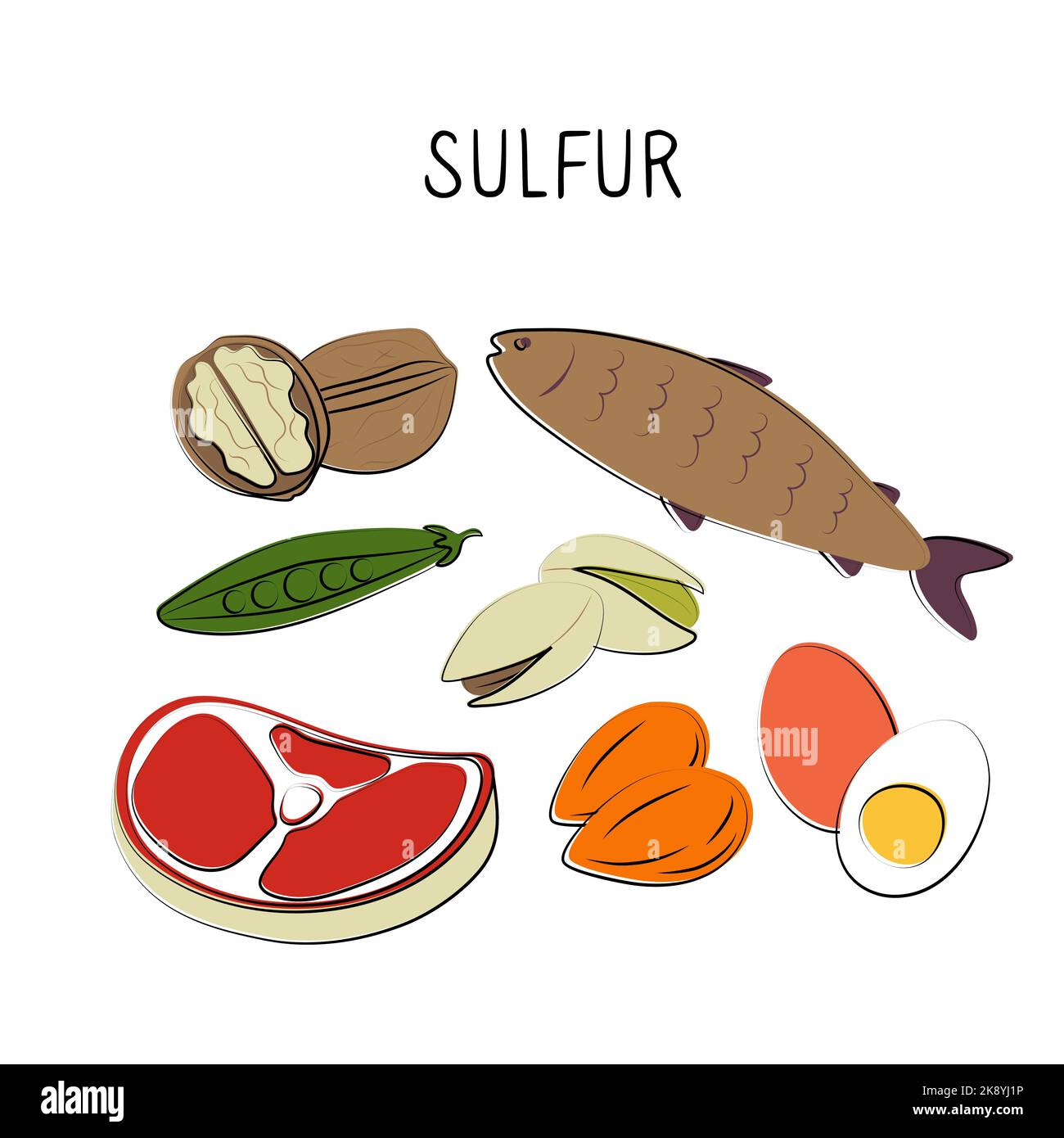 Alimentos con contenido de azufre. Grupos de productos saludables que