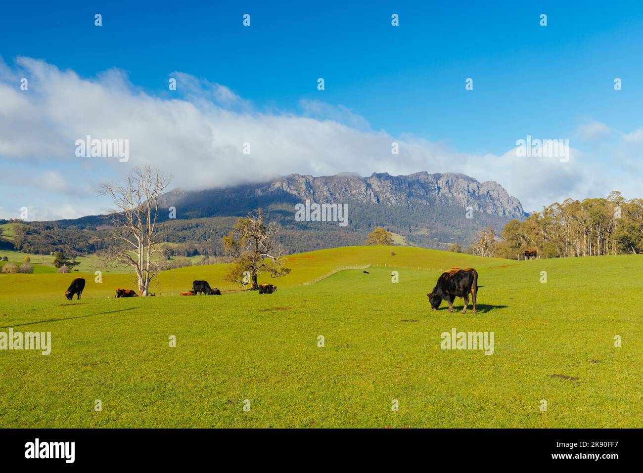 El impresionante Monte Roland en el centro de Tasmania es un fresco y soleado día de primavera cerca de la ciudad de Sheffield en Tasmania, Australia Foto de stock