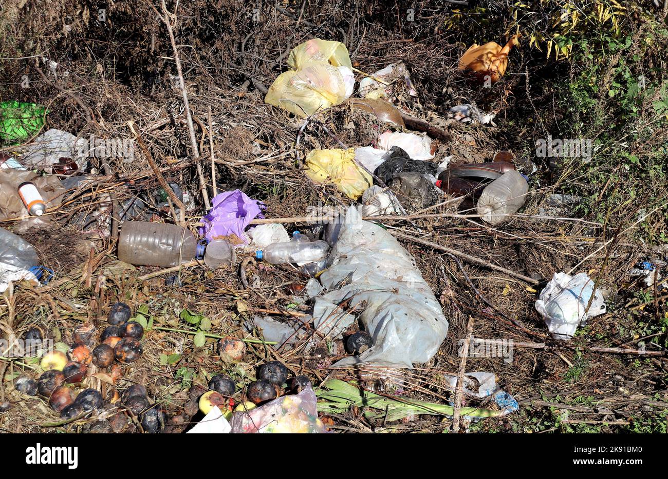 Contaminación del suelo con bolsas y botellas de plástico. Basura plástica en el bosque. Problema ecológico y contaminación ambiental Foto de stock
