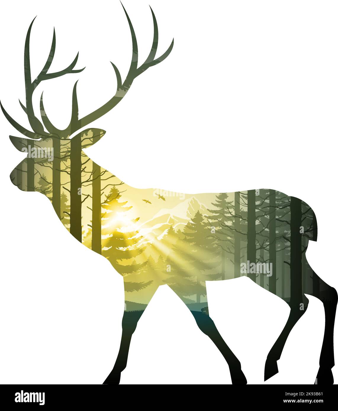 Ilustración que simula una doble exposición de un ciervo rojo caminando y un denso bosque de coníferas. Ilustración del Vector