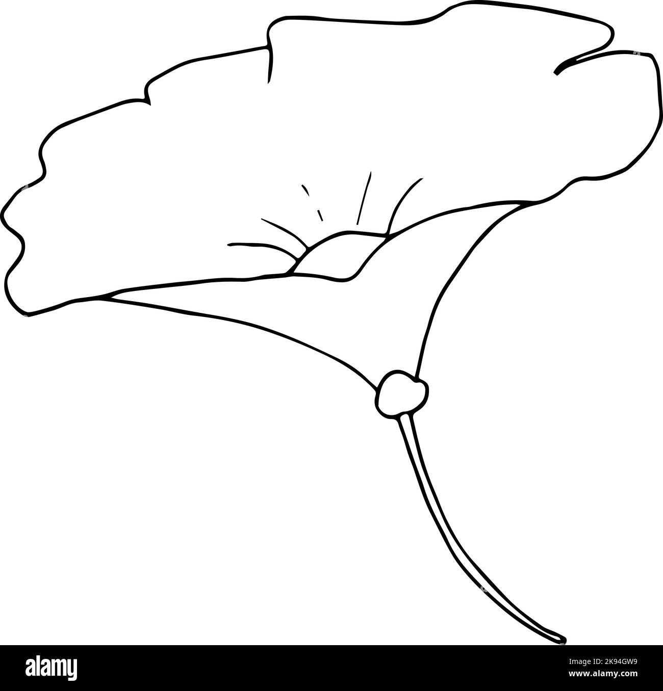 Flor simple dibujada a mano aislada sobre fondo blanco. Arte vectorial Ilustración del Vector