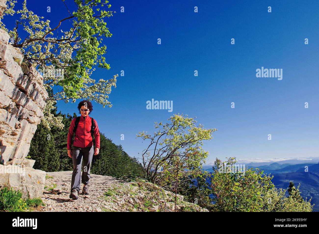 Ruta de senderismo GR9 que va al puerto de Tempetes en el parque natural de Ventoux, Francia, Provenza, Vaucluse, Beaumont du Ventoux Foto de stock