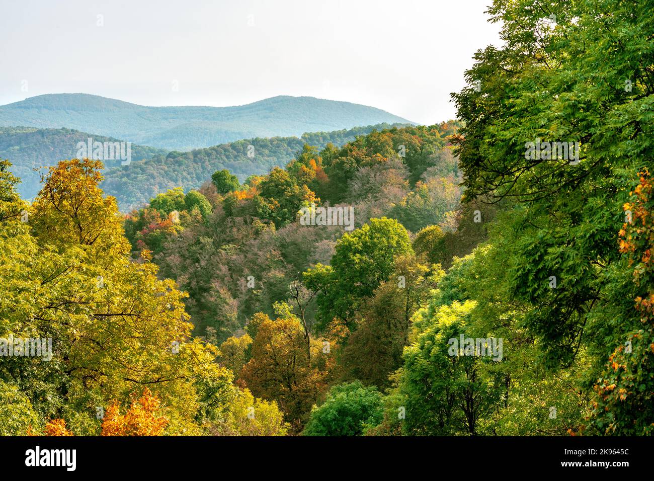 otoño de fondo de árboles en las montañas de pilis en el sendero húngaro a pie desde arriba. Foto de stock