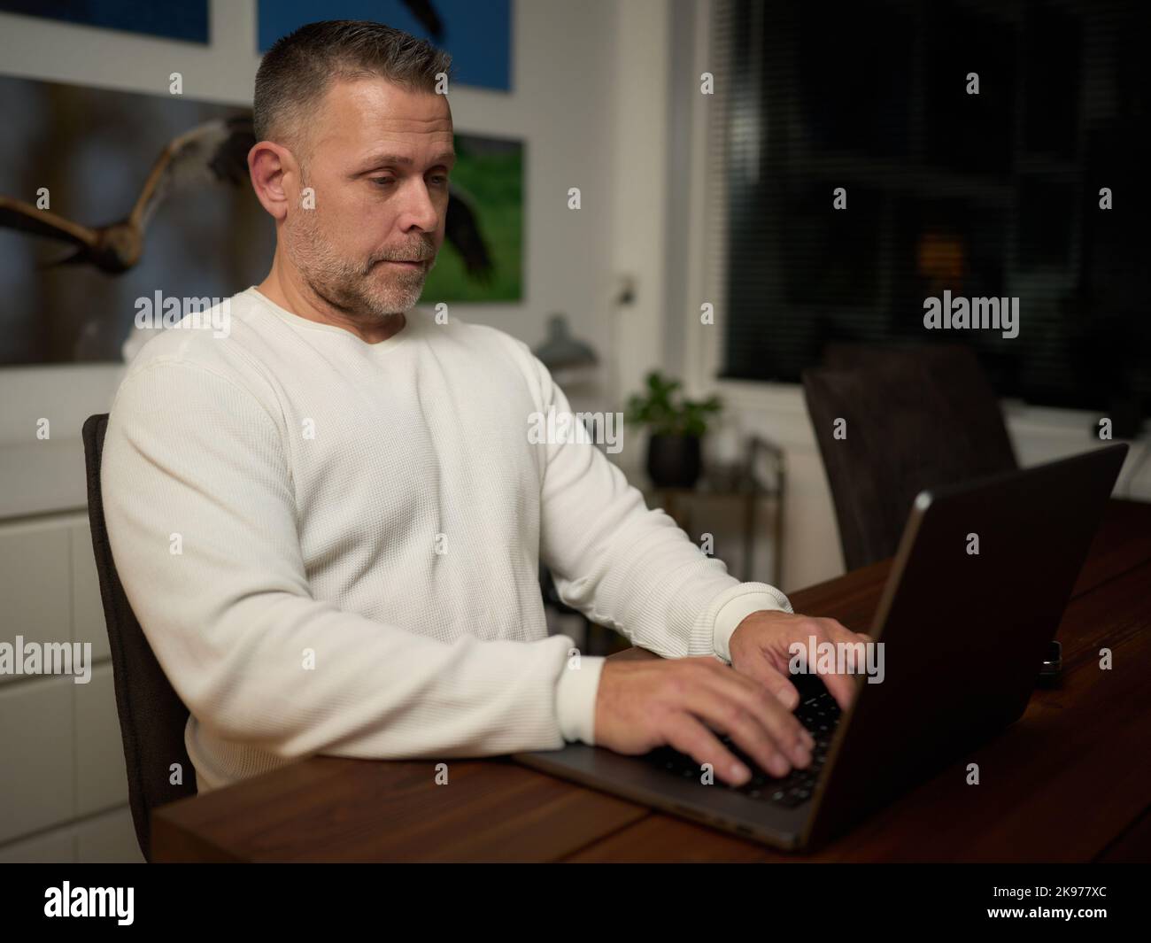 Hombre de mediana edad trabajando en el ordenador Foto de stock