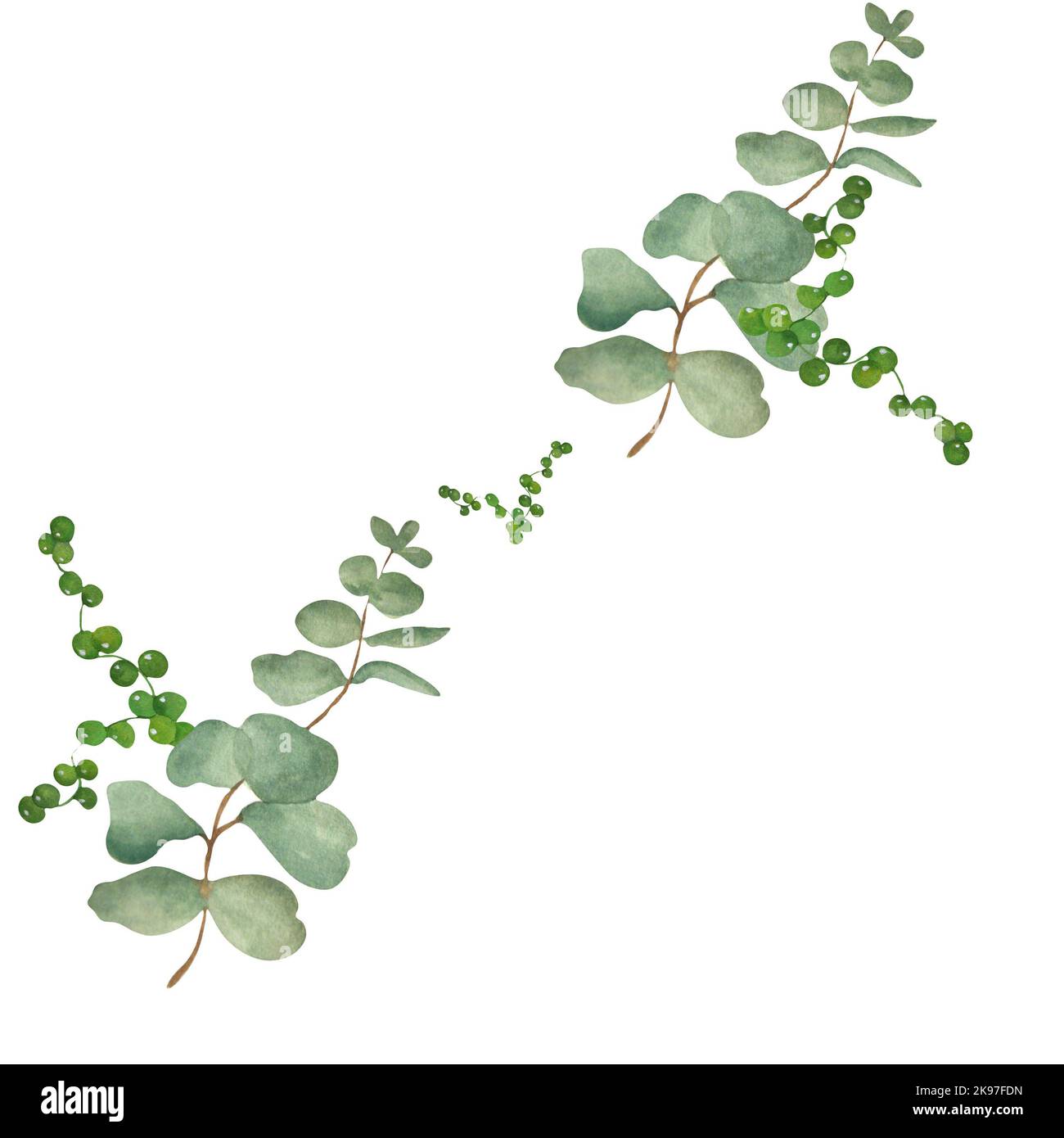 Composición de acuarela de eucalipto y hojas suculentas. Patrón. Fondo