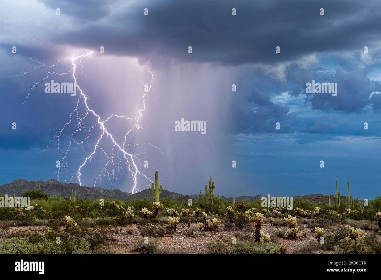 Tormenta monzónica con relámpagos en el desierto de Arizona Foto de stock
