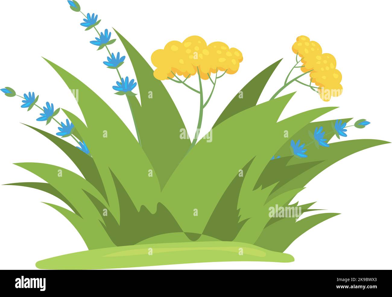 Parche de hierba verde con flores en flor. Pradera plantas de dibujos  animados aisladas sobre fondo blanco Imagen Vector de stock - Alamy