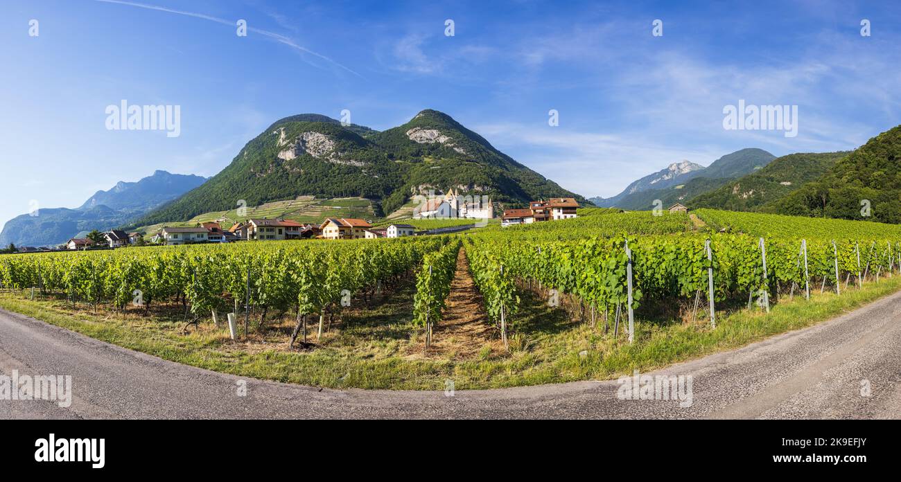 Vista de los alrededores del castillo de Aigle en Suiza Foto de stock
