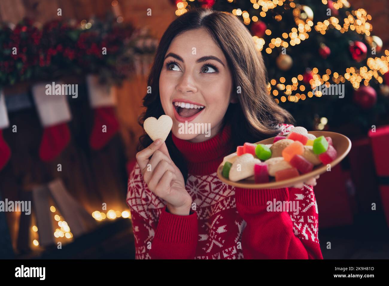 Retrato de graciosa persona alegre mano sostener galleta de jengibre Disfrute de un tiempo festivo en casa interior Foto de stock