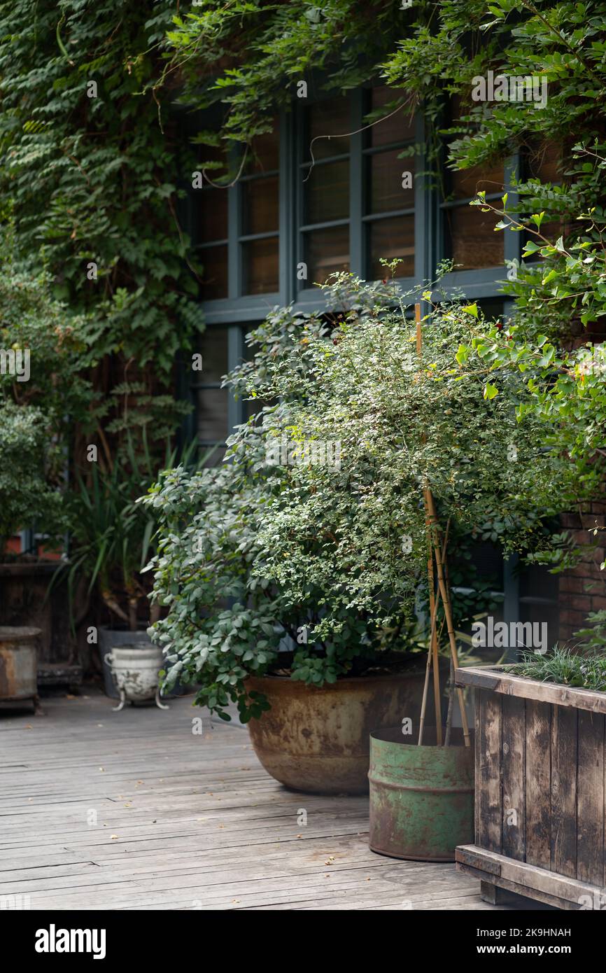 Paisajismo de espacios públicos urbanos con diferentes plantas en macetas,  creando acogedores lugares verdes Fotografía de stock - Alamy