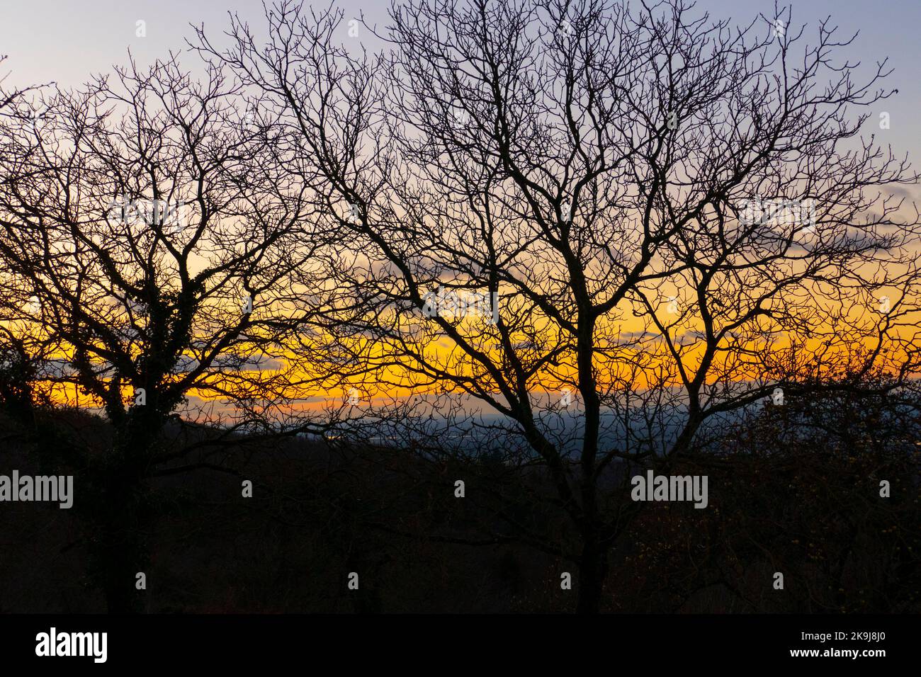 Sonnenuntergang mit Bäumen im Winter en Ebersteinburg Foto de stock