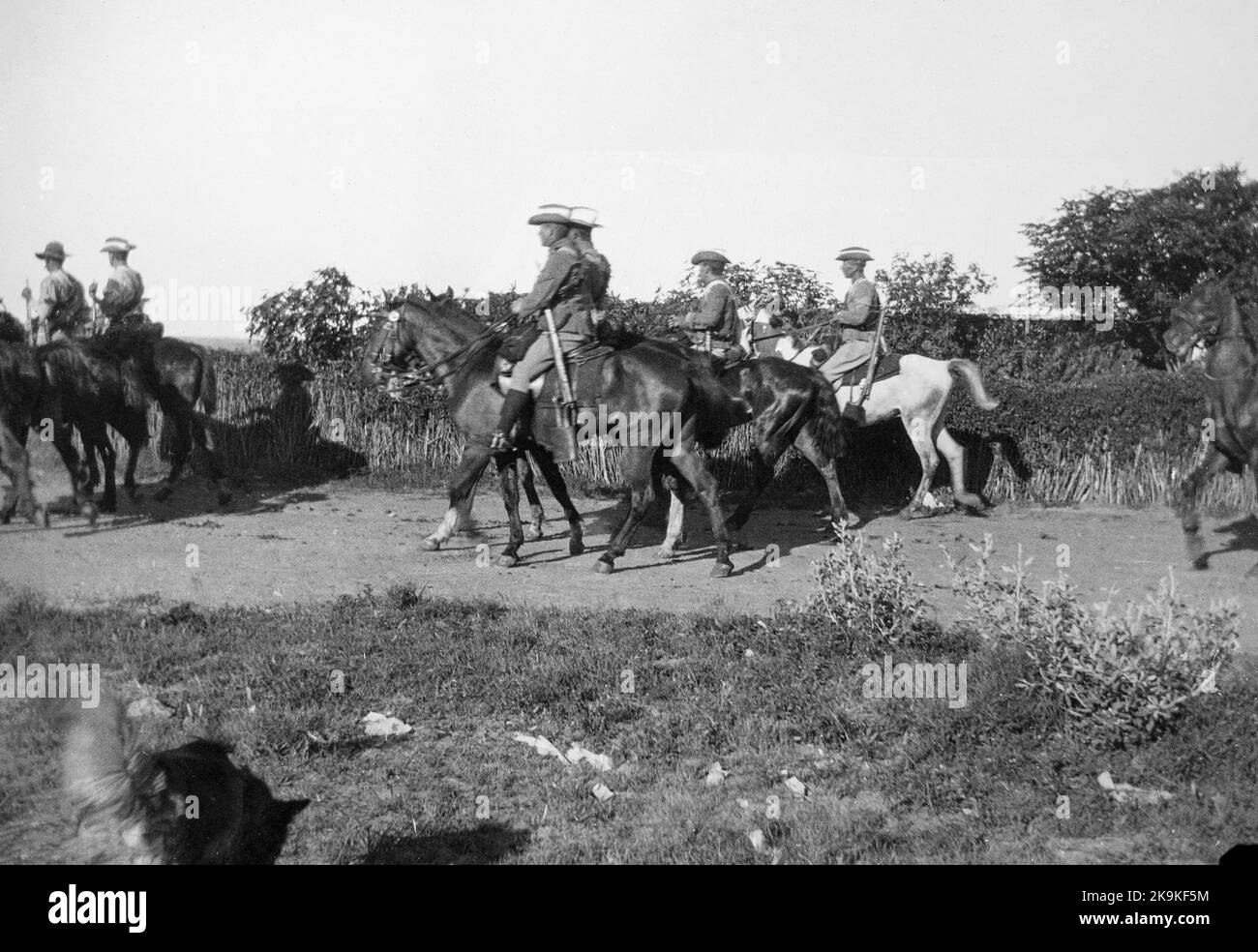 Soldados de Caballería Británica a caballo durante la Guerra de los Boers. Foto de stock