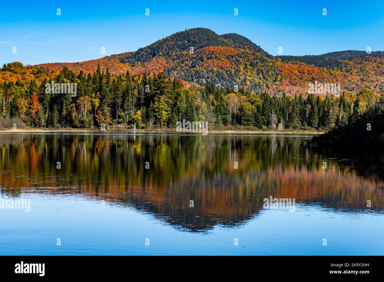 Bosque de otoño del norte y lago con hermosos reflejos en un parque nacional Foto de stock