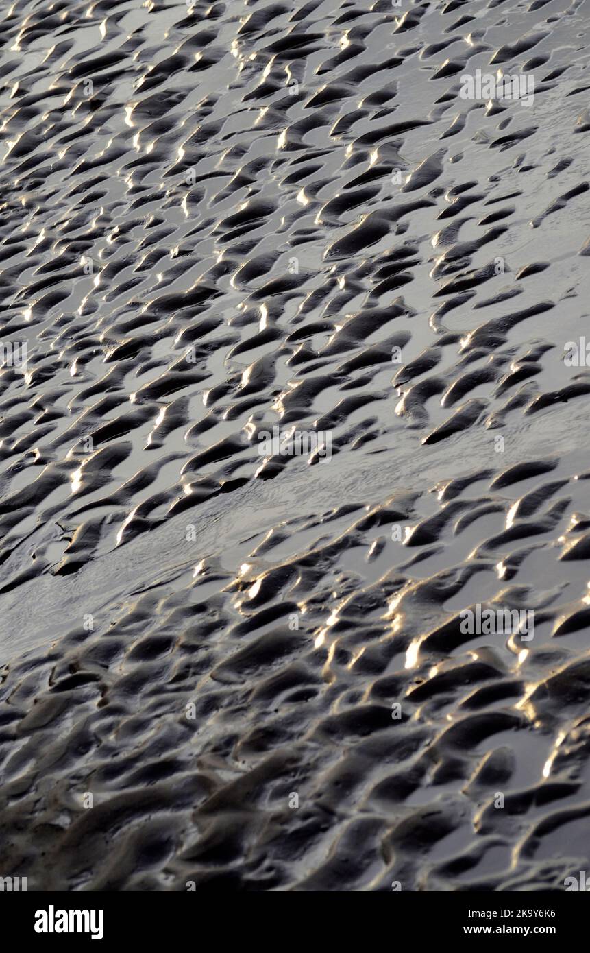 pequeño arroyo de agua que corre a través de arena húmeda en la marea baja blakeney norfolk inglaterra Foto de stock