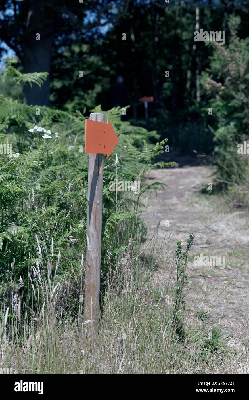 flecha de dirección de madera en el sendero forestal suffolk inglaterra Foto de stock