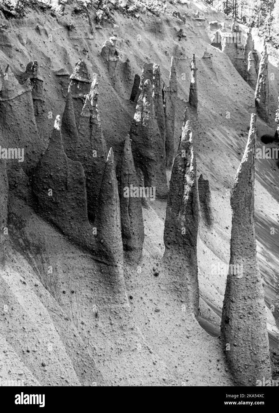 Los pináculos, respiraderos volcánicos que abrazan el borde del lago del cráter en Oregon Park. Con un bosque de pinos creciendo alrededor de las agujas puntiagudas. Foto de stock