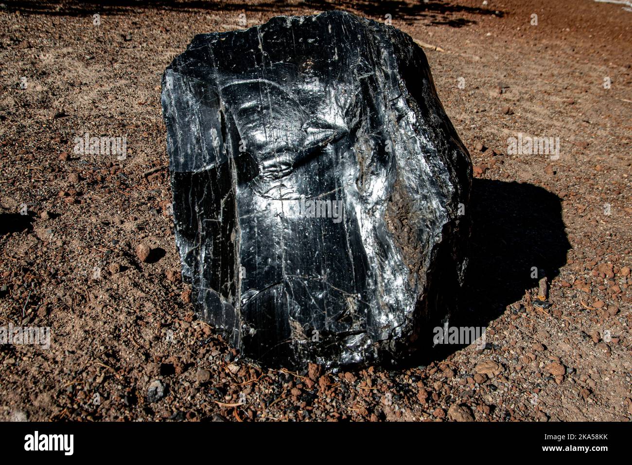 Una gran roca hecha de obsidiana descansando en el suelo en Oregon, EE.UU.. Foto de stock