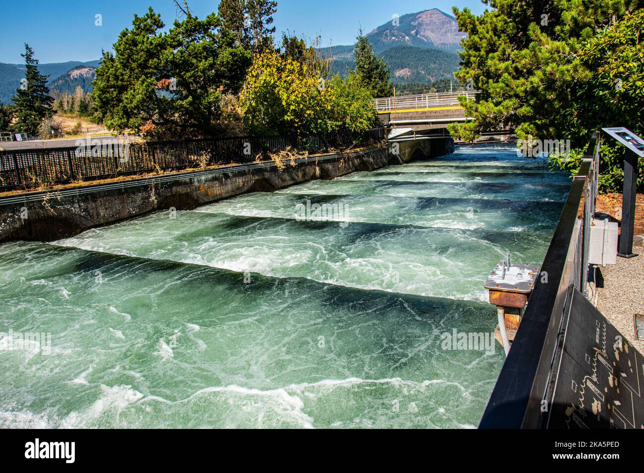 Escalera de peces en la presa de Bonneville, con agua verde del mar