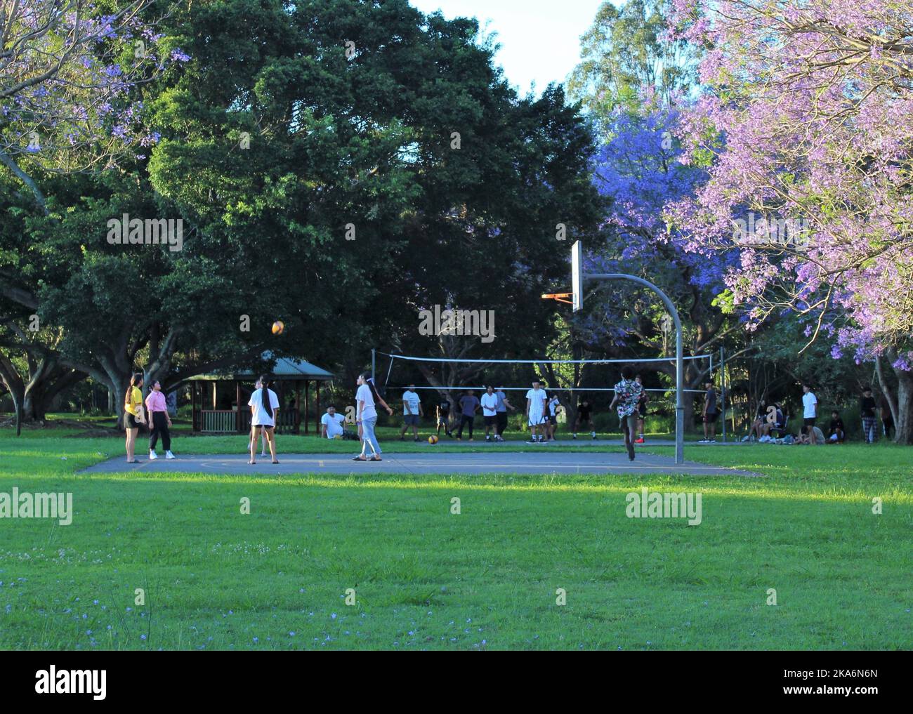 Voleibol, gente disfrutando momentos francos, estilo de vida al aire libre en Australia. Foto de stock