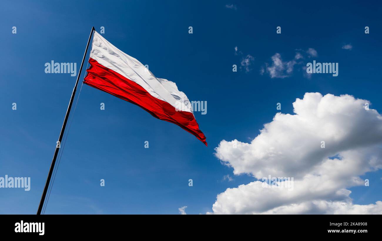 La bandera roja y blanca de Polonia ondea en el viento, panorámica Foto de stock