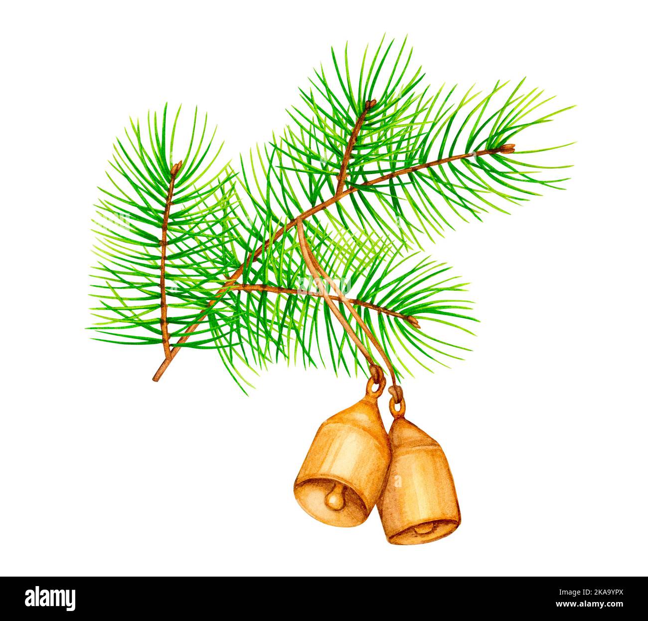 Rama del árbol de Navidad con campanas. Ilustración botánica de acuarela. Diseño elegante para embalaje, postales, invitaciones, papelería, tarjetas de felicitación. Foto de stock