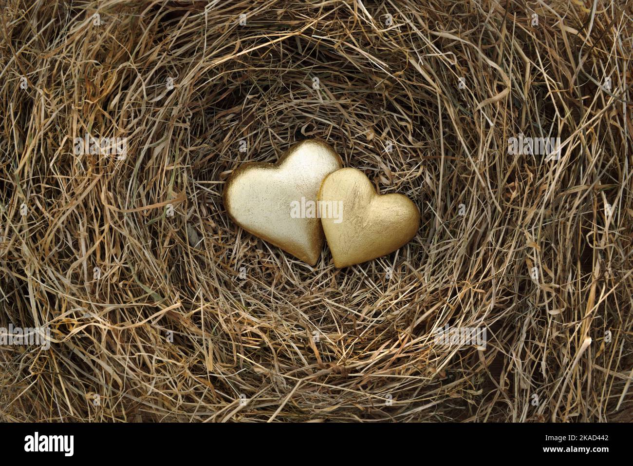 Dos corazones dorados en nido de hierba seca. Foto de stock