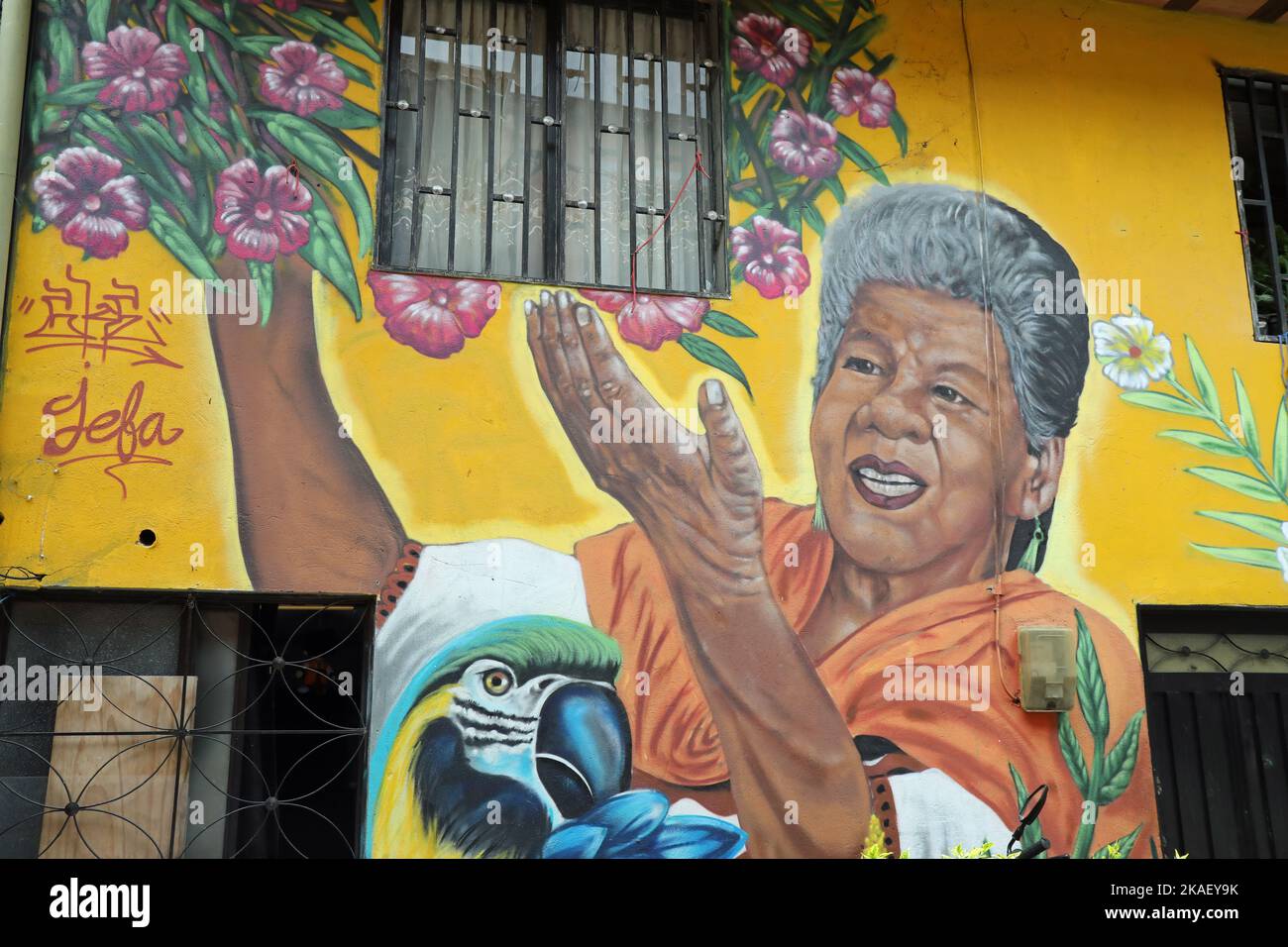 Arte callejero en el barrio Moravia de Medellín en Colombia Foto de stock