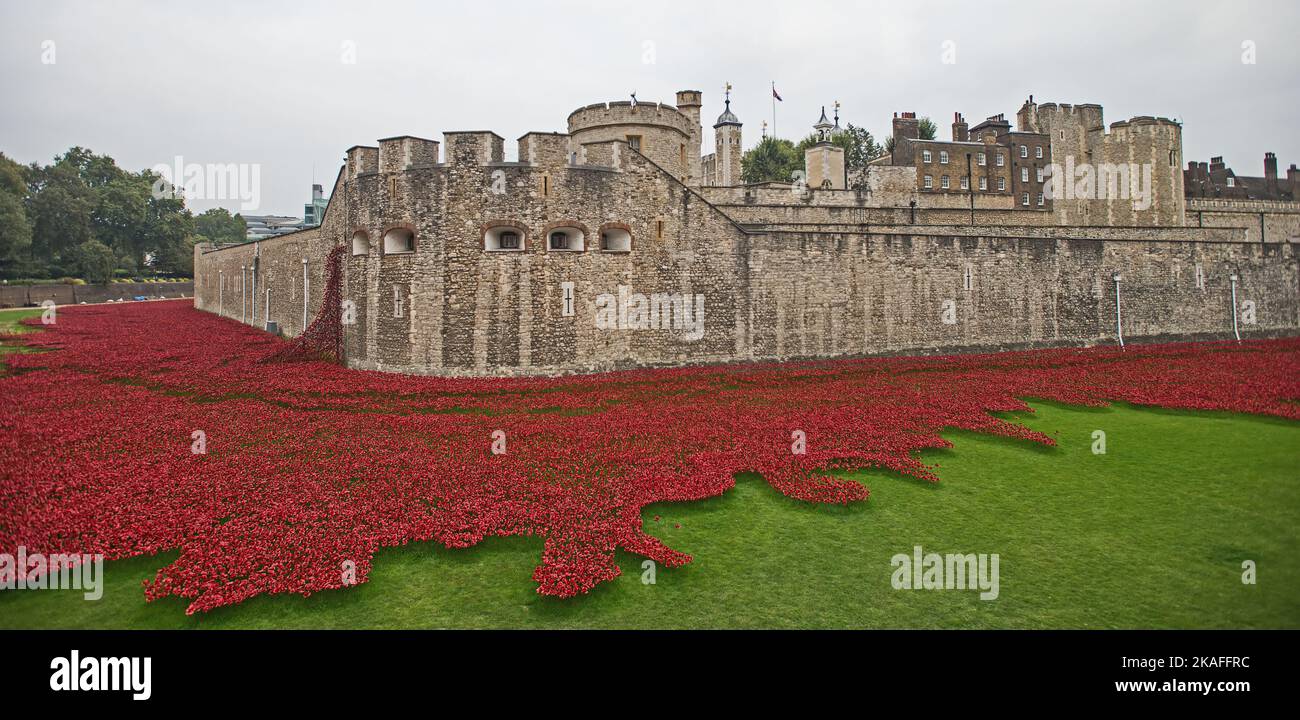 Sangre arrasó tierras y mares de Red Una instalación de arte conmemorativo de amapolas rojas alrededor de la Torre de Londres. Foto de stock