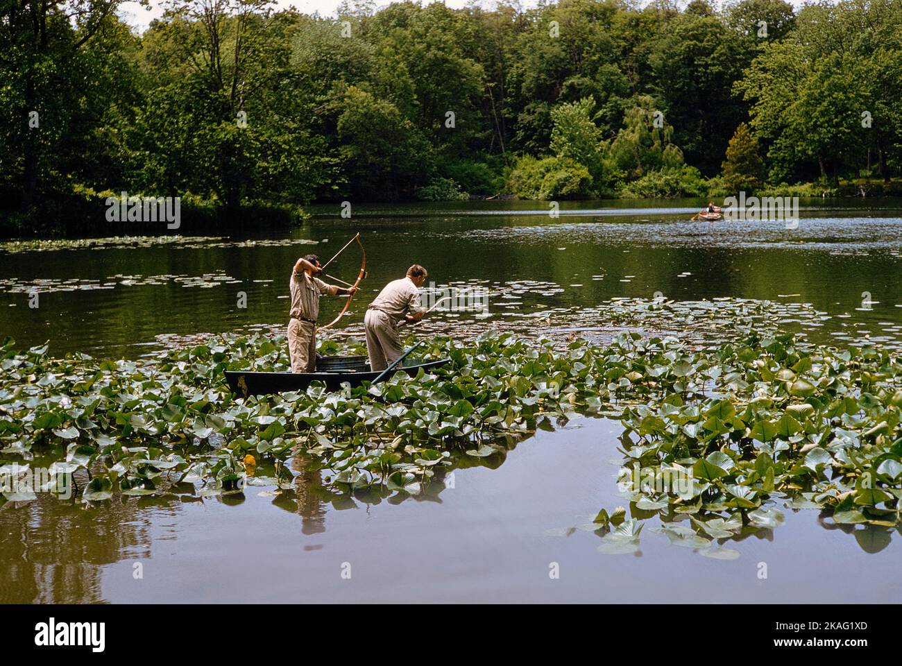 Pesca de carpa con arco y flecha, arroyo Stony, Nueva York, EE.UU., Colección Toni Frissell, 1957 Foto de stock