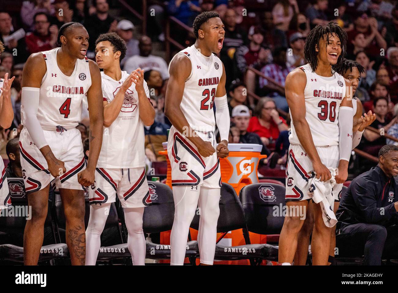 Columbia, SC, EE.UU. 2nd de Nov de 2022. El banco de los Gamecocks de Carolina del Sur celebra durante la segunda mitad contra los Mars Hill Lions en el partido de baloncesto de la NCAA en el Colonial Life Arena en Columbia, SC. (Scott Kinser/Cal Sport Media). Crédito: csm/Alamy Live News Foto de stock