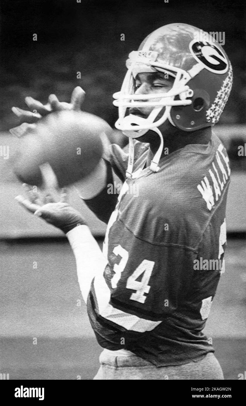 Herschel Walker, ganador del Trofeo Heisman, trabaja en la captura de pases el 3 de diciembre de 1982, en el Superdome de New Orlean, donde los Georgia Bulldogs mejor clasificados se enfrentarían a Penn State para el título nacional el 1 de enero de 1983. (ESTADOS UNIDOS) Foto de stock