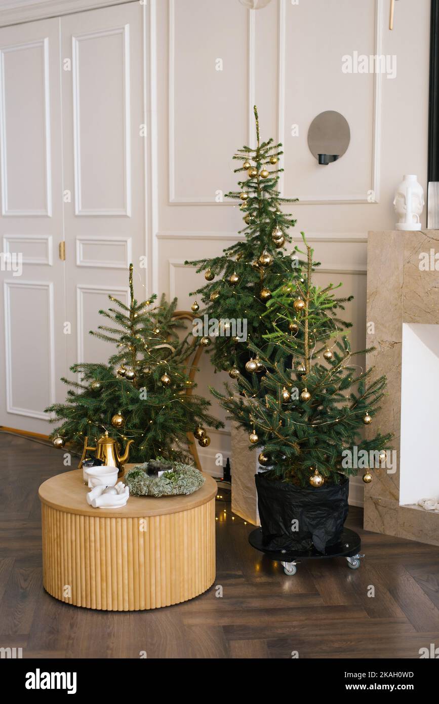 Tres elegantes árboles de Navidad en un salón clásico y moderno. Casa interior para las vacaciones Foto de stock